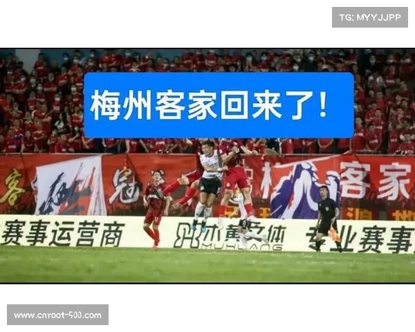 沧州雄狮解散后准入空缺，递补机制重塑联赛格局